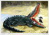 Cartoon: Crocodile (small) by hopsy tagged crocodile