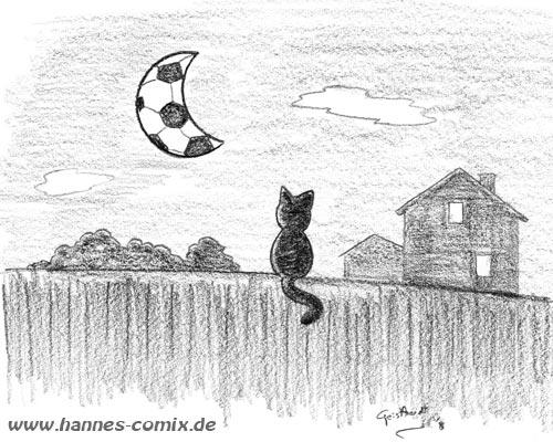 Cartoon: mondball (medium) by Hannes tagged hannes,fußball,football,mond,moon,nacht,night,katze,cat