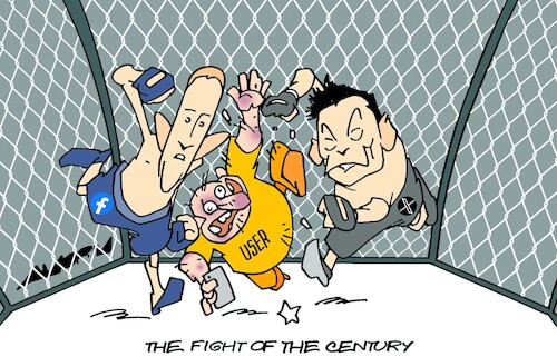 Octagon fight