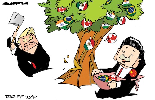 Cartoon: Shaking the tree (medium) by Amorim tagged trump,china,mexico,canada,brazil,india,trump,china,mexico,canada,brazil,india