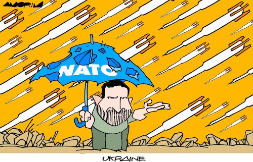 Cartoon: Umbrellas (medium) by Amorim tagged zelensky,putin,nato,zelensky,putin,nato