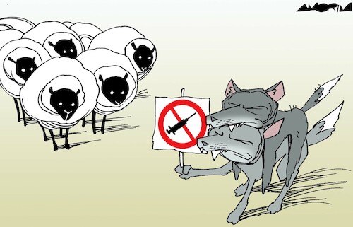 Cartoon: Wolf in sheep s clothing (medium) by Amorim tagged antivaxxers,vaccine,covid19