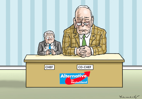 AFD-PARTEITAG