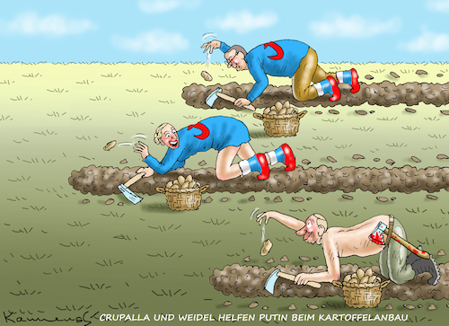 AFD HILFT PUTIN BEIM KARTOFFELAN