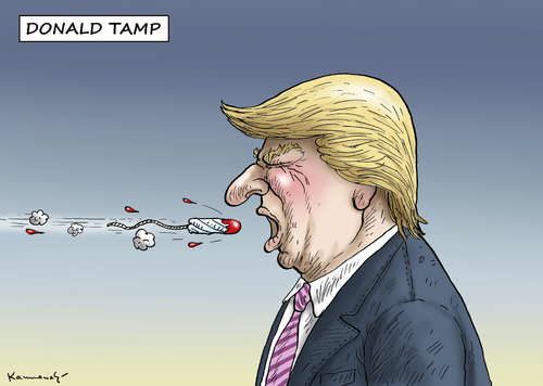 DONALD TAMP