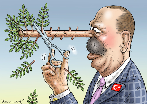 Cartoon: ERDOWAHNS OPERATION OLIVENZWEIG (medium) by marian kamensky tagged erdogans,operation,olivenzweig,syrien,kurden,erdogans,operation,olivenzweig,syrien,kurden