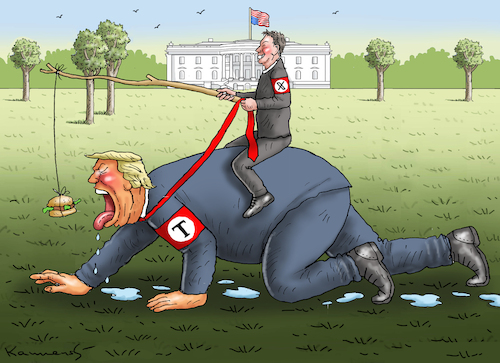 Cartoon: GASSI GEHEN (medium) by marian kamensky tagged trump,und,der,hurrikan,milton,us,wahlen,jeff,bezos,dreht,durch,the,washington,post,musk,tesla,trump,und,der,hurrikan,milton,us,wahlen,jeff,bezos,dreht,durch,the,washington,post,musk,tesla