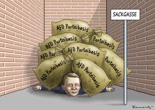 Cartoon: Luckes Sackgasse (medium) by marian kamensky tagged alternative,für,deutschland,rechtspopulismus,afd,uli,hoeness,henkel,bernd,lucke,alternative,für,deutschland,rechtspopulismus,afd,uli,hoeness,henkel,bernd,lucke