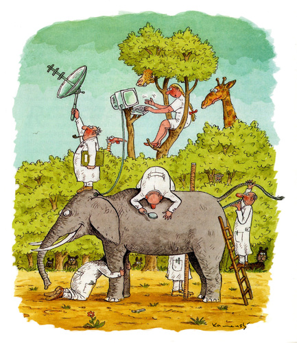 Cartoon: Natural Scientist (medium) by marian kamensky tagged humor,illustration,natur,tiere,elefant,tierarzt