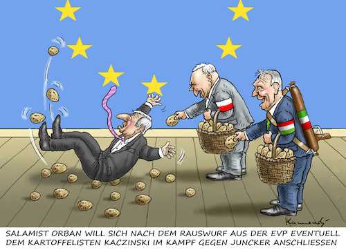 Cartoon: SALAMI TRIFFT KARTOFFEL (medium) by marian kamensky tagged kkk,monarchie,babis,strache,kurz,orban,kopftuchverbot,populismus,kazsynski,ungarn,pressefreiheit,juncker,soros,kaczinski,kkk,monarchie,babis,strache,kurz,orban,kopftuchverbot,populismus,kazsynski,ungarn,pressefreiheit,juncker,soros,kaczinski