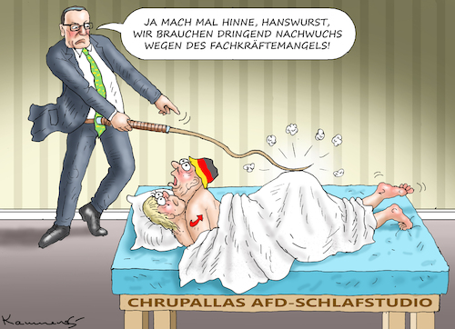 SCHLAFANTREIBER CHRUPALLA