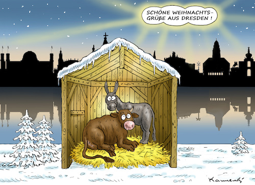 SCHÖNE WEIHNACHTSGRÜßE