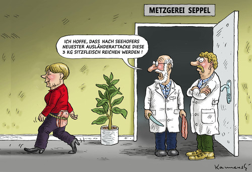 Cartoon: SITZFLEISCH FÜR FRAU MERKEL (medium) by marian kamensky tagged csu,parteitag,thema,sitzfleisch,für,frau,merkel,csu,parteitag,thema,sitzfleisch,für,frau,merkel