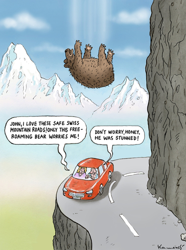 Cartoon: Swiss bear was stunned (medium) by marian kamensky tagged nature,swiss,bear,natural,disaster,natur,bär,bären,tiere,autofahren,unfall,steinschlag,verkehrsunfall