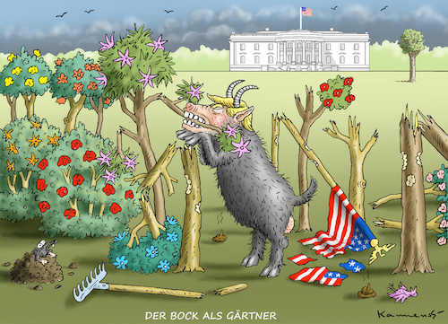 Cartoon: THE BOCK TRUMP (medium) by marian kamensky tagged obama,trump,präsidentenwahlen,usa,baba,vanga,republikaner,inauguration,demokraten,fbi,james,comey,wikileaks,faschismus,obama,trump,präsidentenwahlen,usa,baba,vanga,republikaner,inauguration,demokraten,fbi,james,comey,wikileaks,faschismus