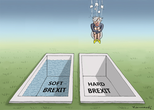 THE HARD BREXIT