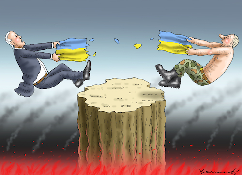 Cartoon: UKRAINE-KONFLIKT (medium) by marian kamensky tagged ukraine,konflikt,ukraine,konflikt