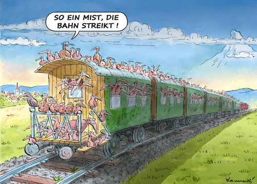 ZUGVÖGEL UND DER BAHNSTREIK