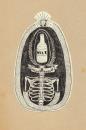 Cartoon: _ (small) by the_pearpicker tagged milk,skeleton,bones,arms,diamond