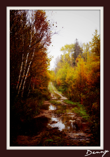 Cartoon: The Lake road 4 (medium) by Krinisty tagged lake,trees,dirt,road,fall,scenery,krinisty,art,photography