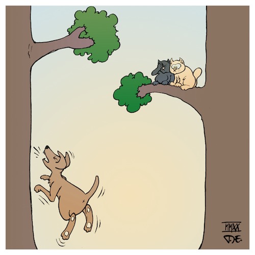 Barking up the wrong tree