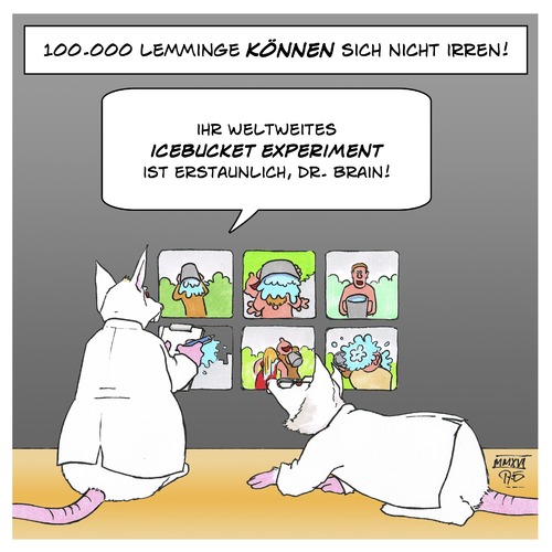 Cartoon: das Icebucket Experiment (medium) by Timo Essner tagged icebucketchallenge