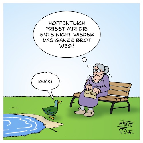 Cartoon: Die Ente ist nah (medium) by Timo Essner tagged ente,oma,see,park,teich,brot,füttern,cartoon,anatidaephobie,tiere,natur,vögel,enten,bank,wasser,timo,essner,ente,oma,see,park,teich,brot,füttern,cartoon,anatidaephobie,tiere,natur,vögel,enten,bank,wasser,timo,essner