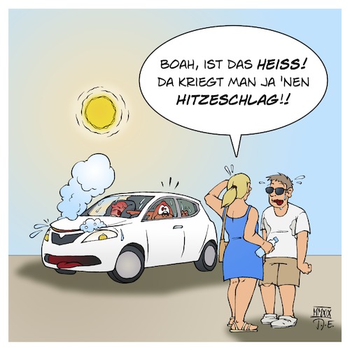 Hitzestau im Auto