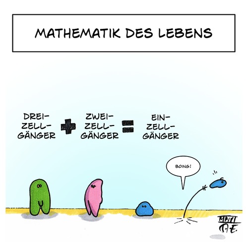 Cartoon: Mathematik des Lebens (medium) by Timo Essner tagged mann,frau,fortpflanzung,natur,leben,mathe,mathematik,lauf,sinn,mann,frau,sex,fortpflanzung,natur,leben,mathe,mathematik,lauf,sinn