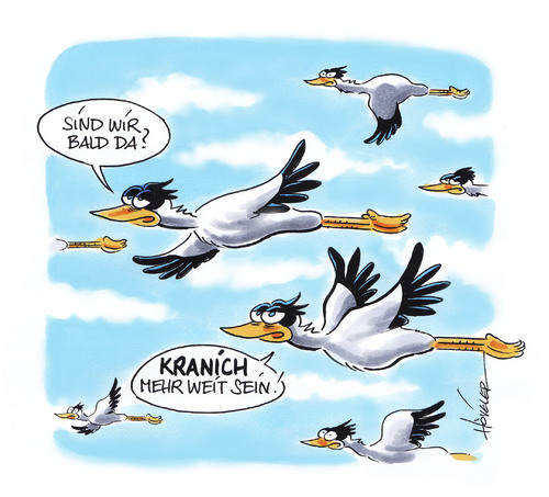 Cartoon: Kraniche (medium) by Hoevelercomics tagged kraniche,zugvögel,kranich,vogelschwarm,vögel,vogel