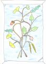 Cartoon: Liebe Natur (small) by skätsch-up tagged birke,eiche,baum,ginko,pflanze