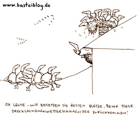 Cartoon: Drecksackschönwettertouristen 2 (medium) by puvo tagged zugvogel,migrant,bird,duck,ente,frühling,spring,schwalbe,swallow,nest