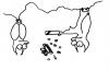 Cartoon: Fledermausromantik. (small) by puvo tagged fledermaus,geschenk,pralinen