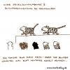 Cartoon: Miese Gesellschaftsabende V (small) by puvo tagged tiger,löwe,lion,leopard,modenschau,catwalk,tanga,slip,reizwäsche,fashion,show,thong,string,sexy,underwear,social,evening,gesellschaftsabend
