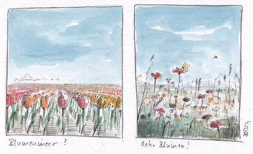 Cartoon: Das Blumenmeer... (medium) by Jori Niggemeyer tagged bienen,bienensterben,monokultur,wiesen,blühen,vielfalt,natur