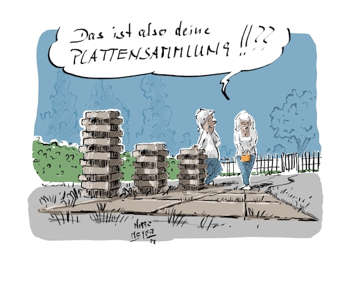 Die Plattensammlung ...