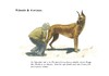 Cartoon: Rituale... (small) by Jori Niggemeyer tagged dänische,hund,dogge,rituale,kuss,küssen,hintern,glück,finanzen,sicherheit,kurios,dänemark,niggemeyer,joricartoon,cartoon