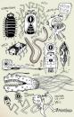 Cartoon: Documentary study (small) by Alesko tagged garden,insecte,scribble,documentary,alesko