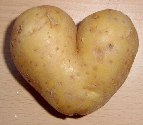 Cartoon: I Love You All (medium) by Karl Toffel tagged potato