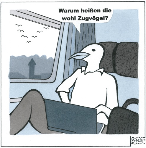 Gedanken eines Lokvogels.