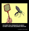 Cartoon: Culiseta longiareolata (small) by perugino tagged mosquito,insects,animals