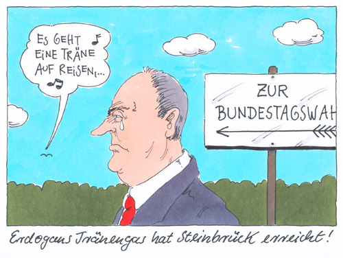 steinbrück