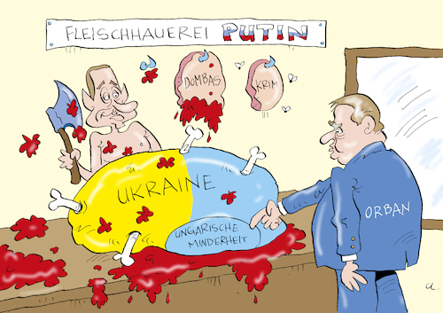 Cartoon: Der Fleischer (medium) by astaltoons tagged putin,ukraine,krieg,orban,putin,ukraine,krieg,orban