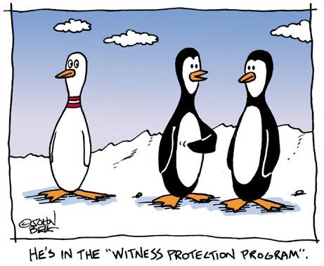 Cartoon: Witness Protection (medium) by JohnBellArt tagged penguin,bowling,pin,snow,cold,cartoon,witness,protection,program,identity