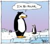 Cartoon: Bi-Polar (small) by JohnBellArt tagged bipolar,polar,bear,penguin,arctic,antarctica,cold,confused