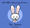 Cartoon: Your Brains (small) by sebreg tagged rabbit,silly,fun