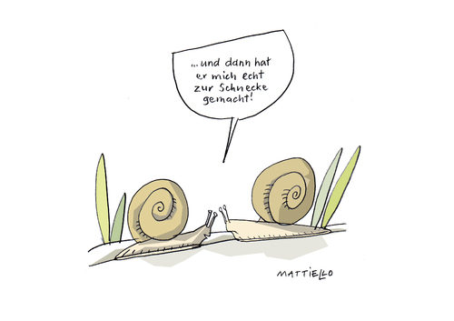 Schnecke