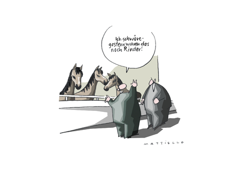 Cartoon: Stallwunder (medium) by Mattiello tagged pferdefleischskandal,lebendmittelbetrug,lebensmittelkontrolle,verbrauchersicherheit,pferdefleischskandal,lebendmittelbetrug,lebensmittelkontrolle,verbrauchersicherheit