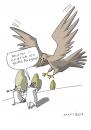 Cartoon: Ornithologe (small) by Mattiello tagged vogelkundler naturbursche fernglas fehlurteil