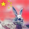 Cartoon: year of the rabbit (small) by ab tagged china,cina,year,jahr,sign,zeichen,hase,rabbit,astrologie